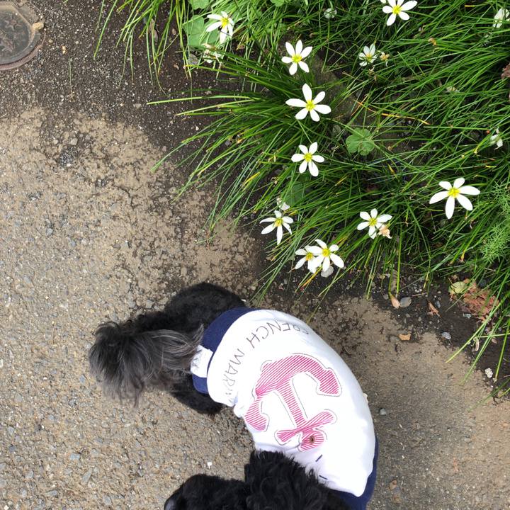 1cf92275 7cc4 42c8 8bfe 67db460adf50 1571538228149