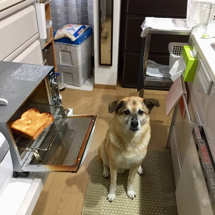 1cf98344 d3ef 4339 8b86 140287c011bf 1571958558758