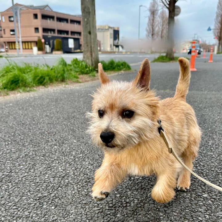 1cf98d8c 7284 4f3f 8f34 e158c5822078 1710812635668