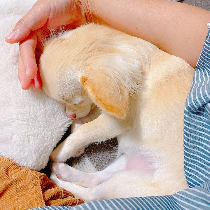 1cf9a6a7 7223 48dd 8025 22a2cbba15fe 1634113796779