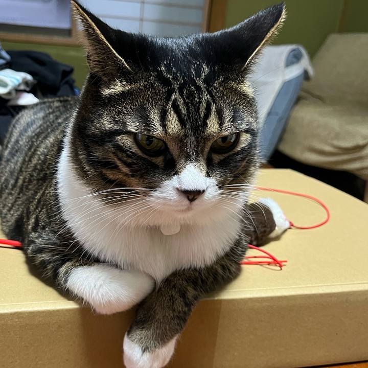 1cfa004e 6183 45fa ab82 f13e6f267737 1769385476198