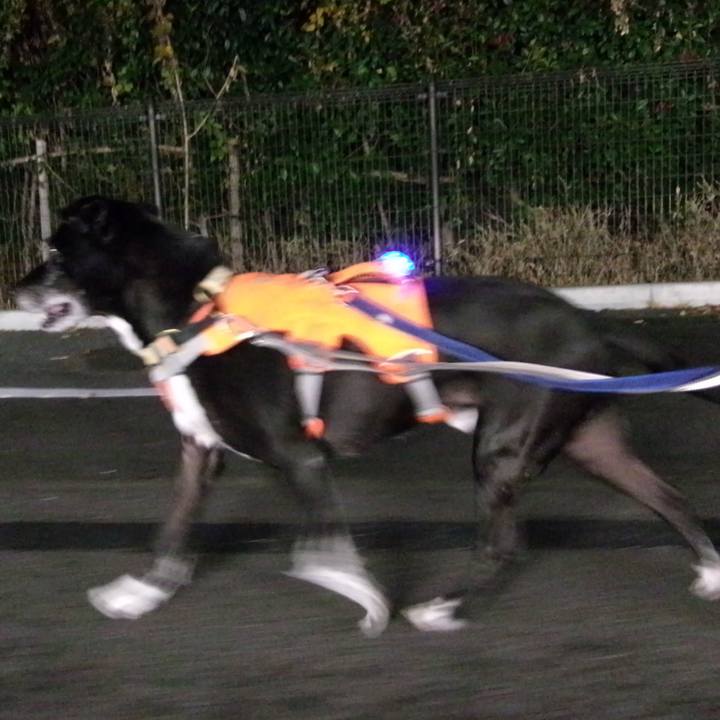 1cfa5c29 fee2 45e1 9dd2 28193847b4a6 1733569656047