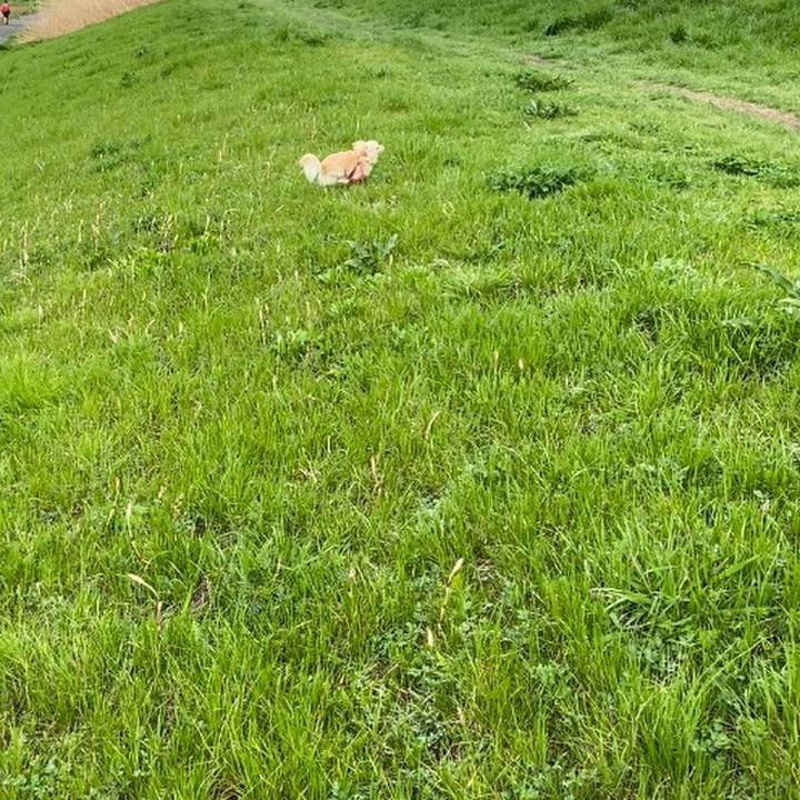 1cfa8140 2172 40b3 8e8f 3c0c582b5b04 1617096158679