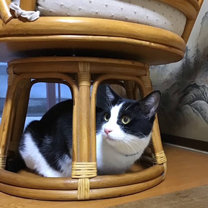 1cfa8a13 11a1 4f98 9563 b1dbd3246fb7 1657795436947