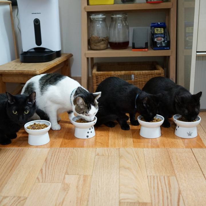 1cfa959b 4eb5 402c be32 0d1adc9f71b9 1510702972547