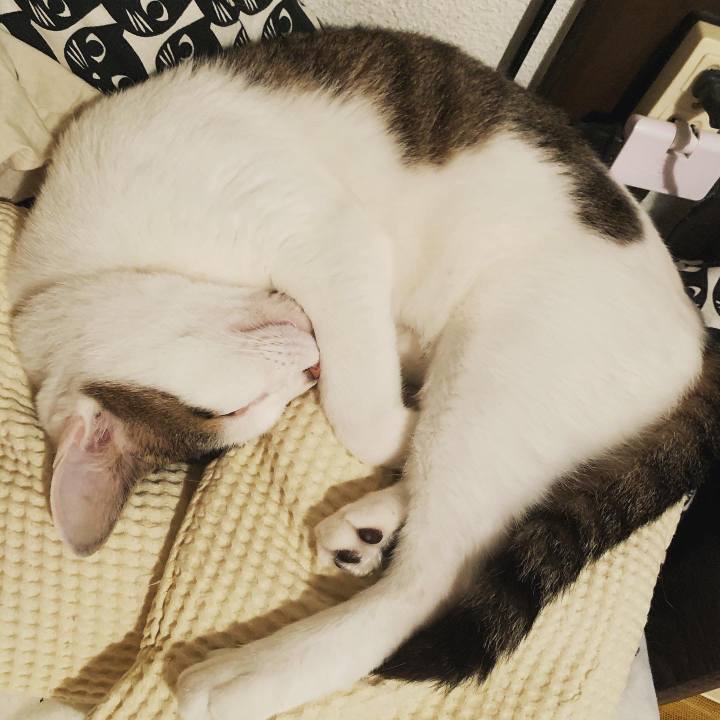 1cfaadae 8b7c 4180 b299 9513c7017222 1588781897329