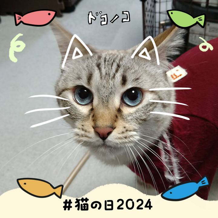 1cfabab2 2b99 4ba4 96b7 bae7d795d511 1708597321731