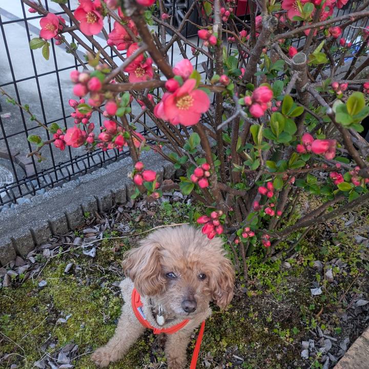 1cfac465 fc9d 4c47 bb76 cb4fd14d0bbb 1774049541851