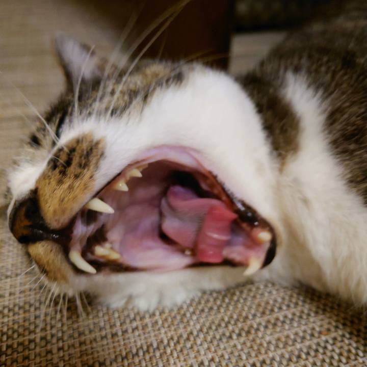 1cfad8da 28fd 458c b9e2 0ac673239efa 1772417907902