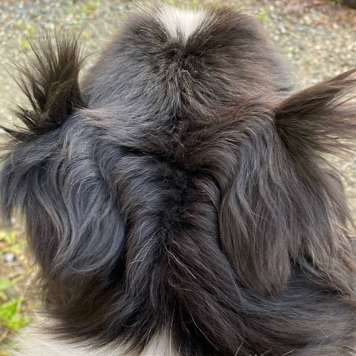 1cfae3a8 7f90 4fa7 94e9 4f86b74759e1 1684731685042