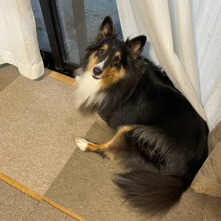 1cfb0512 eb75 40e7 be1b bec1b9933c6b 1637531355302