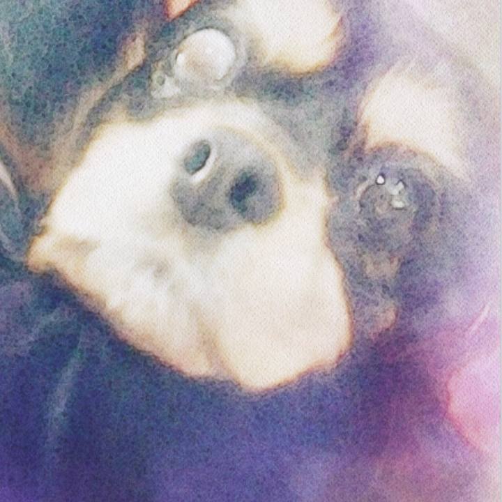 1cfb28f7 1bce 4d18 8f76 360302741711 1555667512186