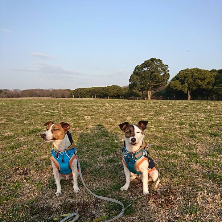 1cfb3448 8718 4988 85c7 47e1667de106 1551429154446