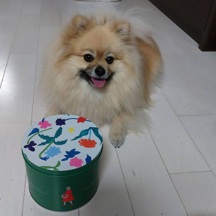 1cfb36c0 9b5a 4394 a8bd d155bb150df6 1675853777918