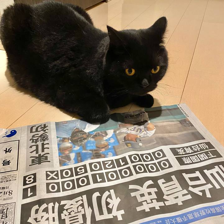 1cfb3c70 3043 4340 8090 c327b47e6db2 1661159372103