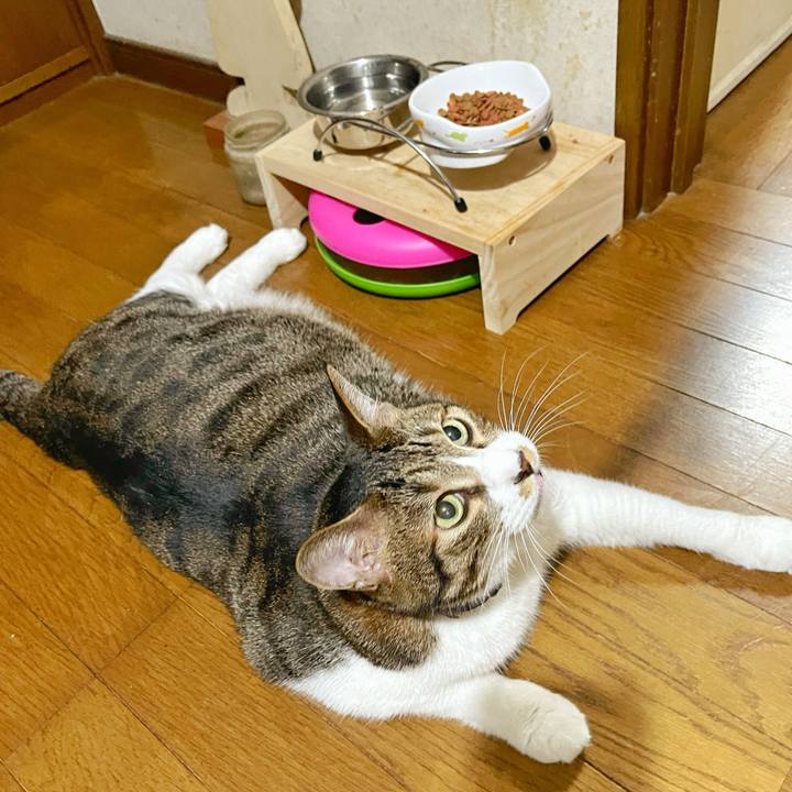 1cfb7d8f b59d 478f a558 767d0b02d41f 1754520511183