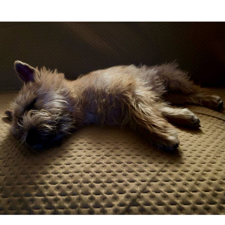 1cfb9b25 470e 4dc0 84c7 c7e82d457fd6 1716734024393