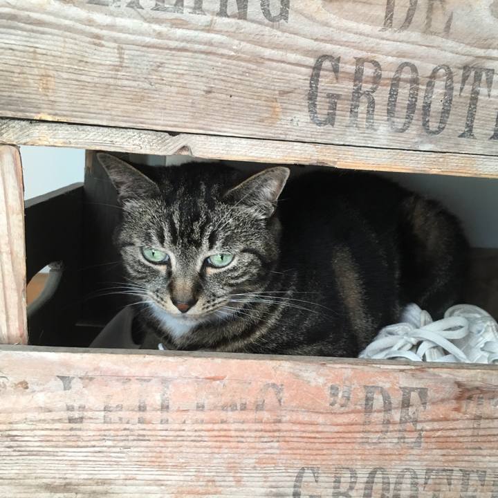 1cfb9df5 8561 4616 8c92 5016abf7ea3b 1531610666391