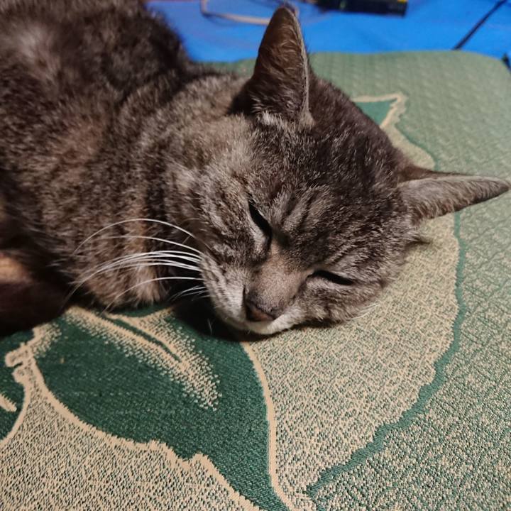 1cfbe91d 2c66 4a7b a91e d2d730c67276 1557825463454