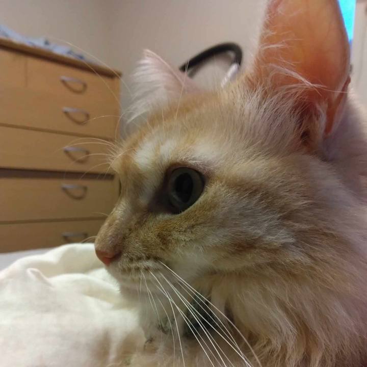 1cfbf3fa 3679 4b54 b1bc e4d476c73acd 1696156542965