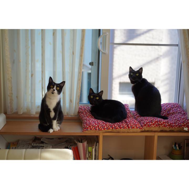 1cfbfb52 1db0 4266 a63d 069c63d3add9 1635770765703