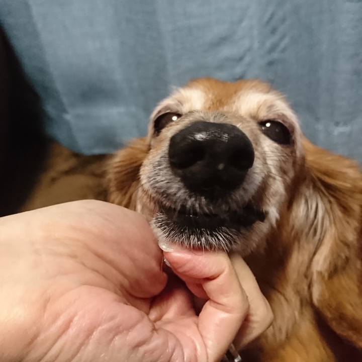 1cfc17ab 5586 4831 b43a ba261acd7ee1 1626536888038