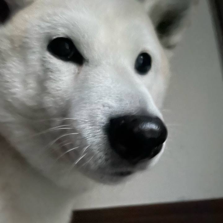 1cfc2342 b5fa 47ae be49 dfa7e869ca87 1674194685516