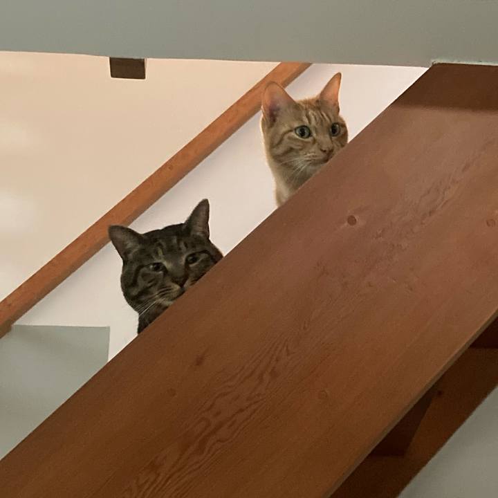 1cfc2f88 6d79 4fa9 b146 c477b2ae5851 1702991889229