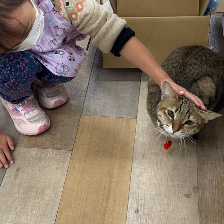 1cfc4196 3c25 42e3 ab05 d1ddc443c1d1 1670421259552