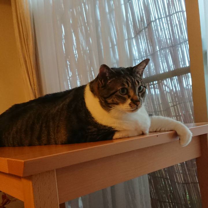 1cfc6041 b97a 4773 9e99 ce6fb9c228a9 1533594974846