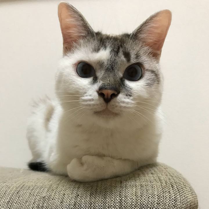 1cfc9ebb 0252 49eb b065 dbfc3009e926 1533729737338