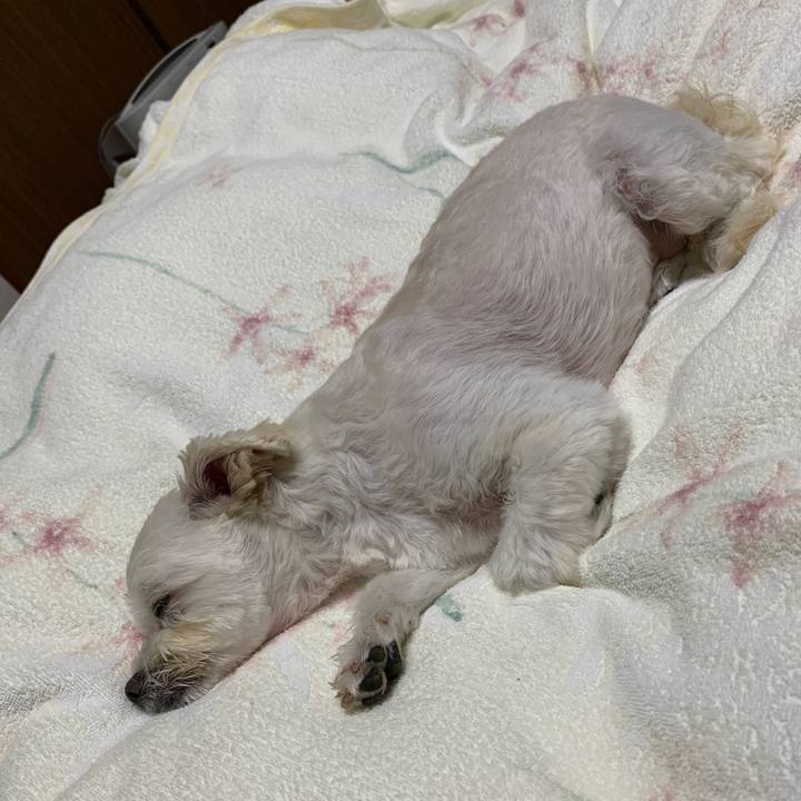 1cfcb393 6393 43a4 b1fb 96e6b7045c7e 1601644549118