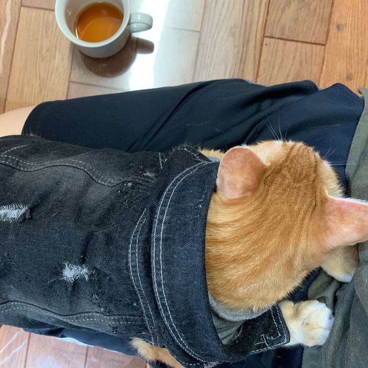 1cfcc122 7aa1 41f5 9a85 774630caadff 1654898323951