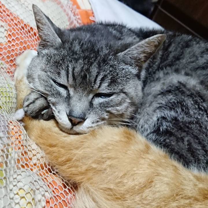 1cfcd3e0 8599 4967 8743 66137aa1ef97 1585401358180