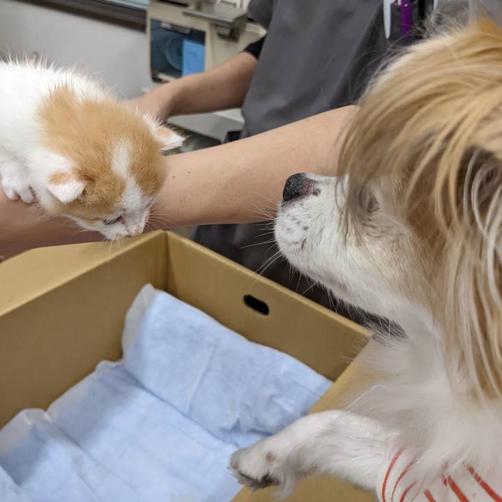 1cfd155e 85fc 4525 aff0 554937d12113 1666870425132