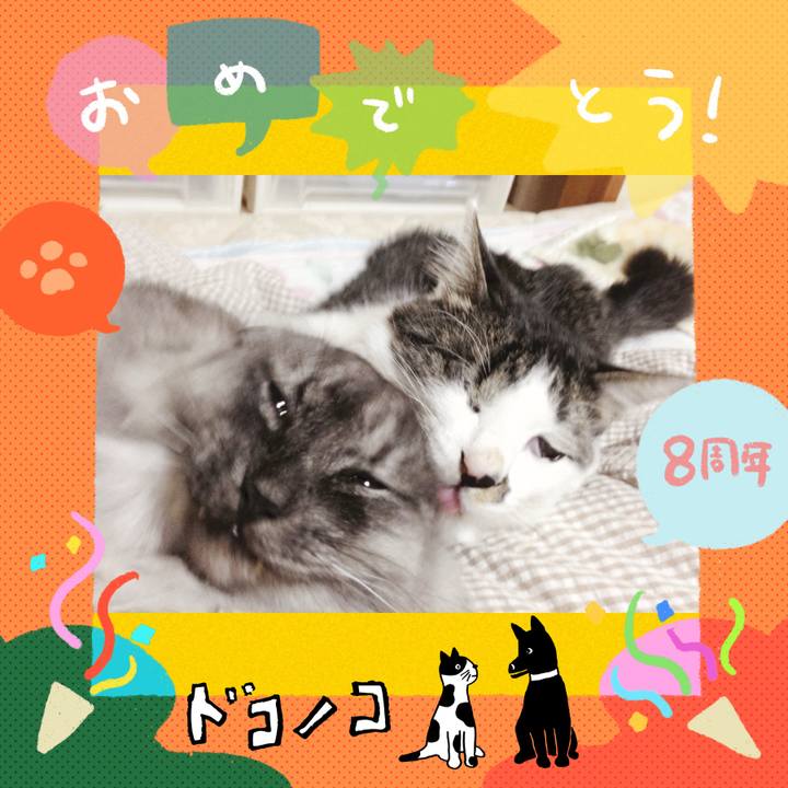 1cfd4637 d7d2 44d2 8b81 6082b606345e 1718579068380