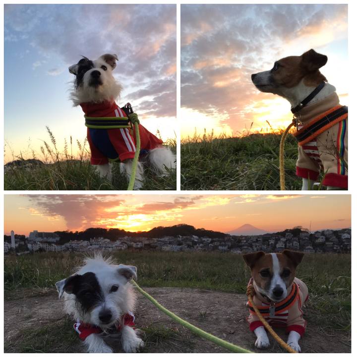 1cfd777f 325b 46cb 81a6 2db6486493a0 1540887096361