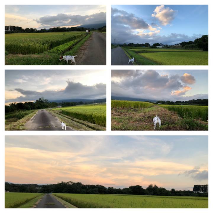 1cfda304 0097 40b3 aaf4 a80ccb6fd608 1568025269396