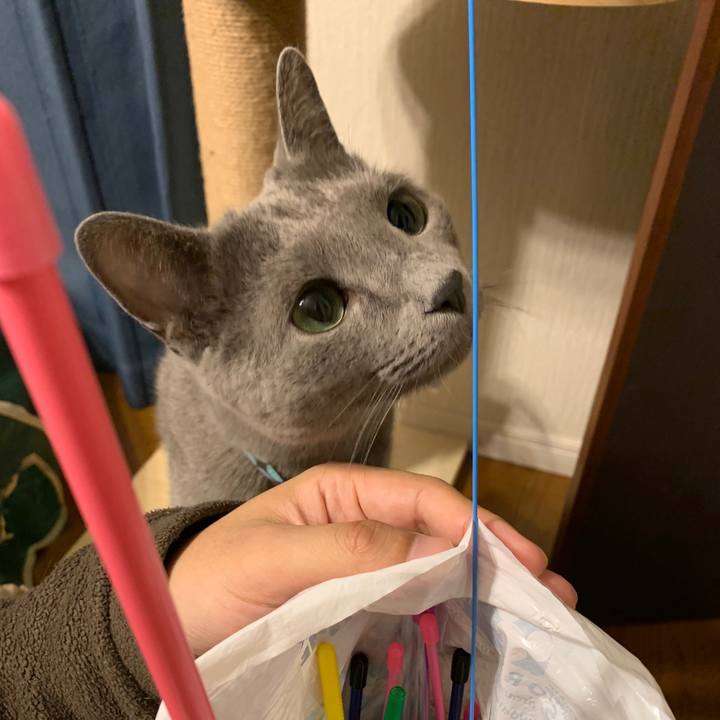 1cfdb946 2b46 4cf1 9a36 6a3c9a5ba699 1651627057352