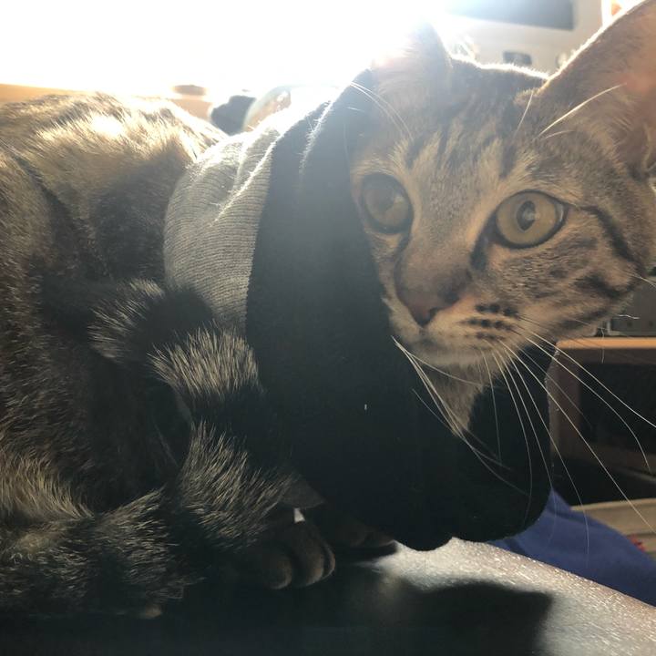 1cfddccf 67d3 483a ad7d 2a0e76fb8785 1615581166480