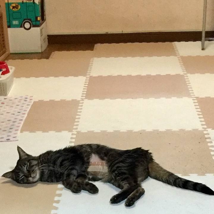 1cfe4333 9d35 4364 9030 171de2f8f693 1534128692036