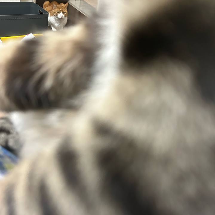 1cfe5262 6bcf 4b6b 9e0c ebc78ff58e07 1777033633788