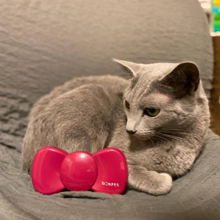 1cfe8510 cc01 4aa0 93ad c04b19f9b72d 1666959329611