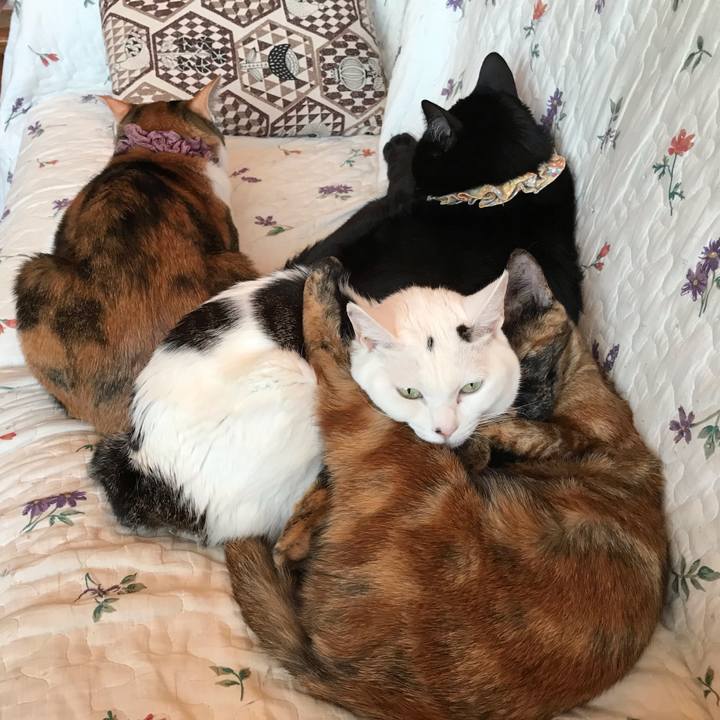 1cfe8e97 ef59 4e31 be1f 83e2a6445c76 1640757821326