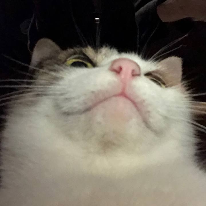 1cfea144 13bc 4248 9fb3 d3b3572dbe4a 1583240761363