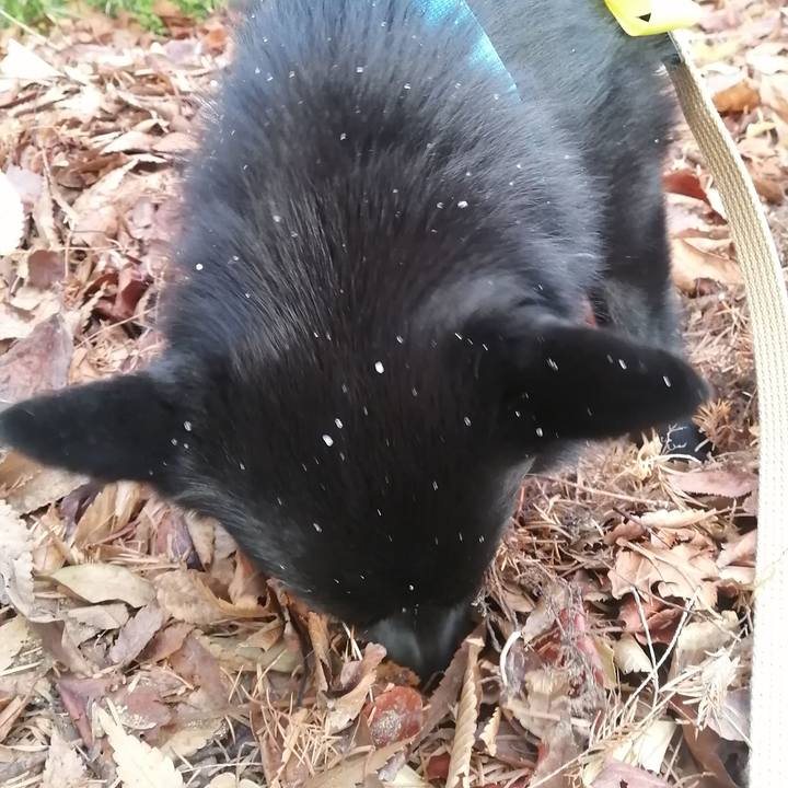 1cfeccbb 496f 4eaa 9f67 26358787448e 1639811952968