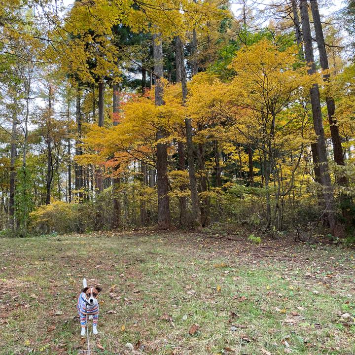 1cfed4de 69f5 4cce 894c 4ce78ff4fce6 1635750570443