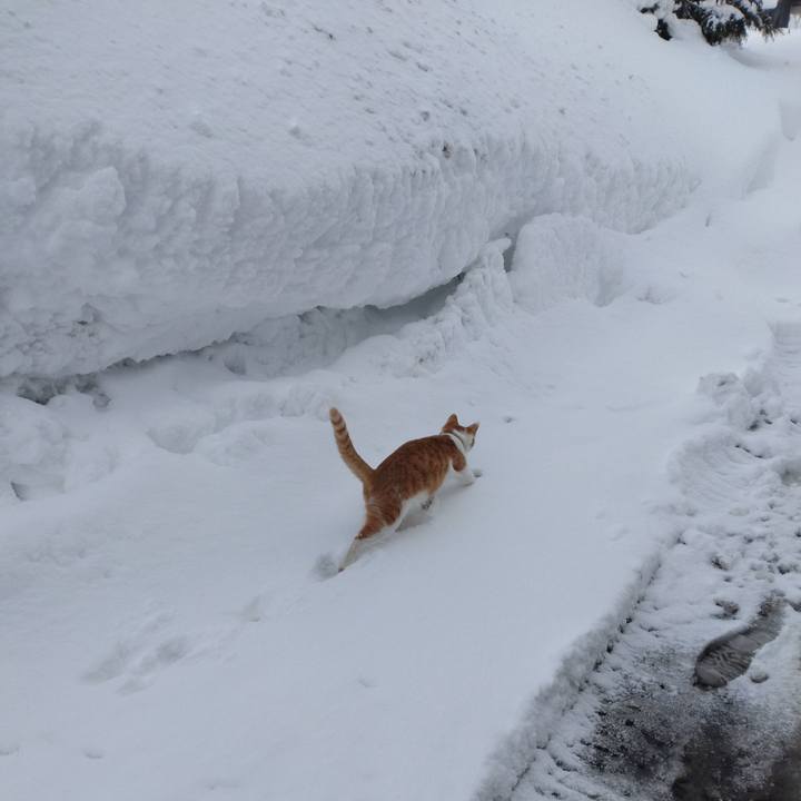 1cfefed2 6561 46de 9c8b 34eee16d04ad 1739095279265