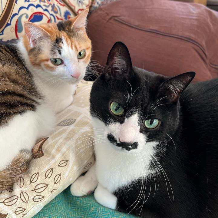 1cff2ecd 879b 4151 8e96 1a976be5ad47 1770244959418