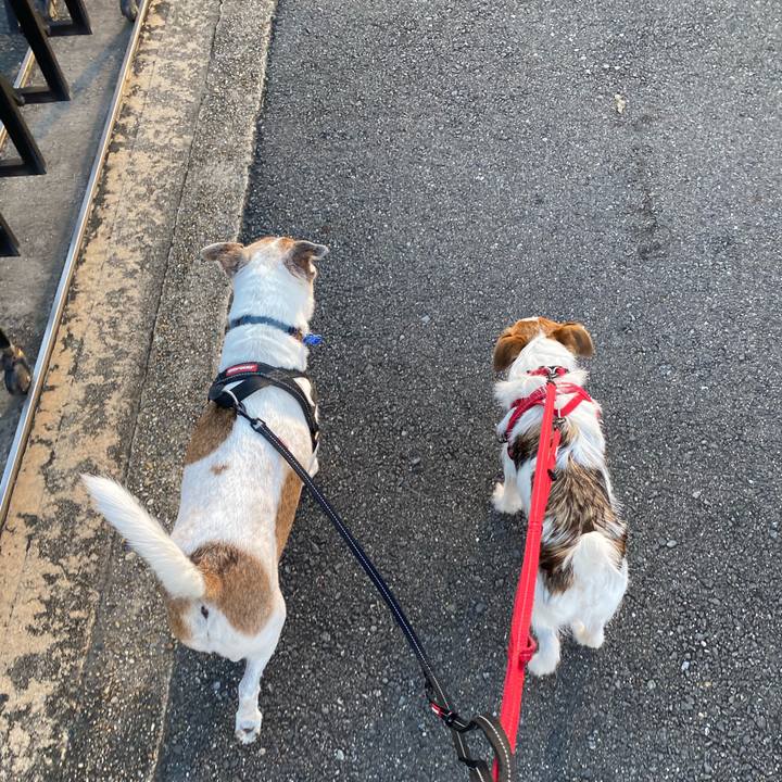 1cff4fff b758 4a93 89bf e0683e60b4ef 1632259913230